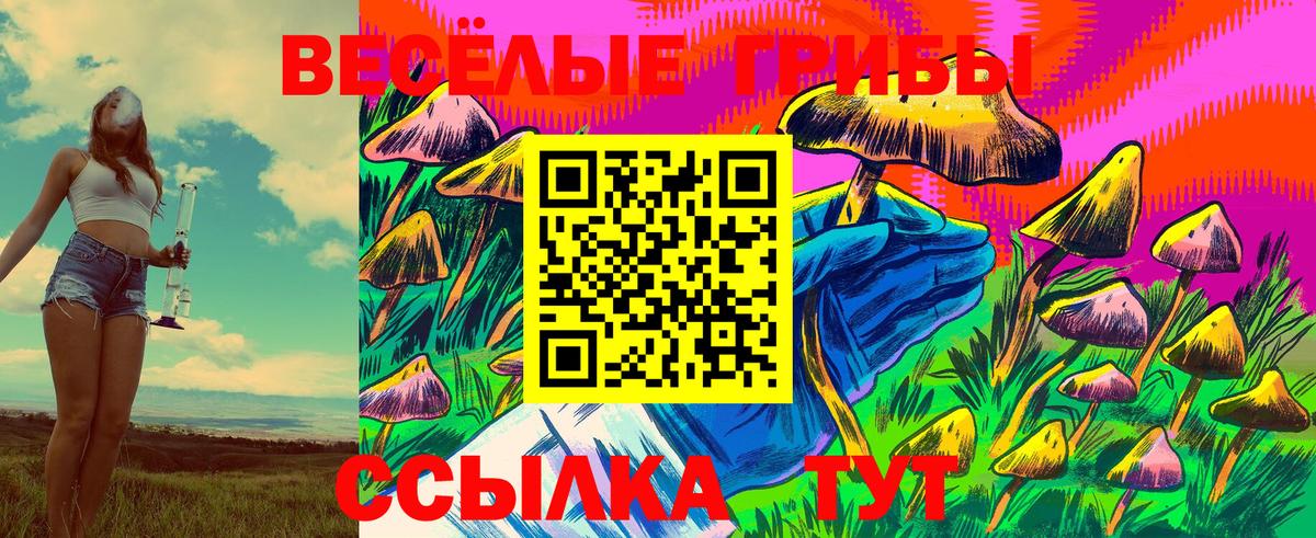 Чита  Псилоцибиновые грибы Psilocybe  как найти закладки  Вход с VPN 